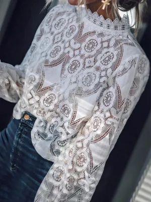 Band Collar Decorative Lace Lace Plain Blouses  | ZDT