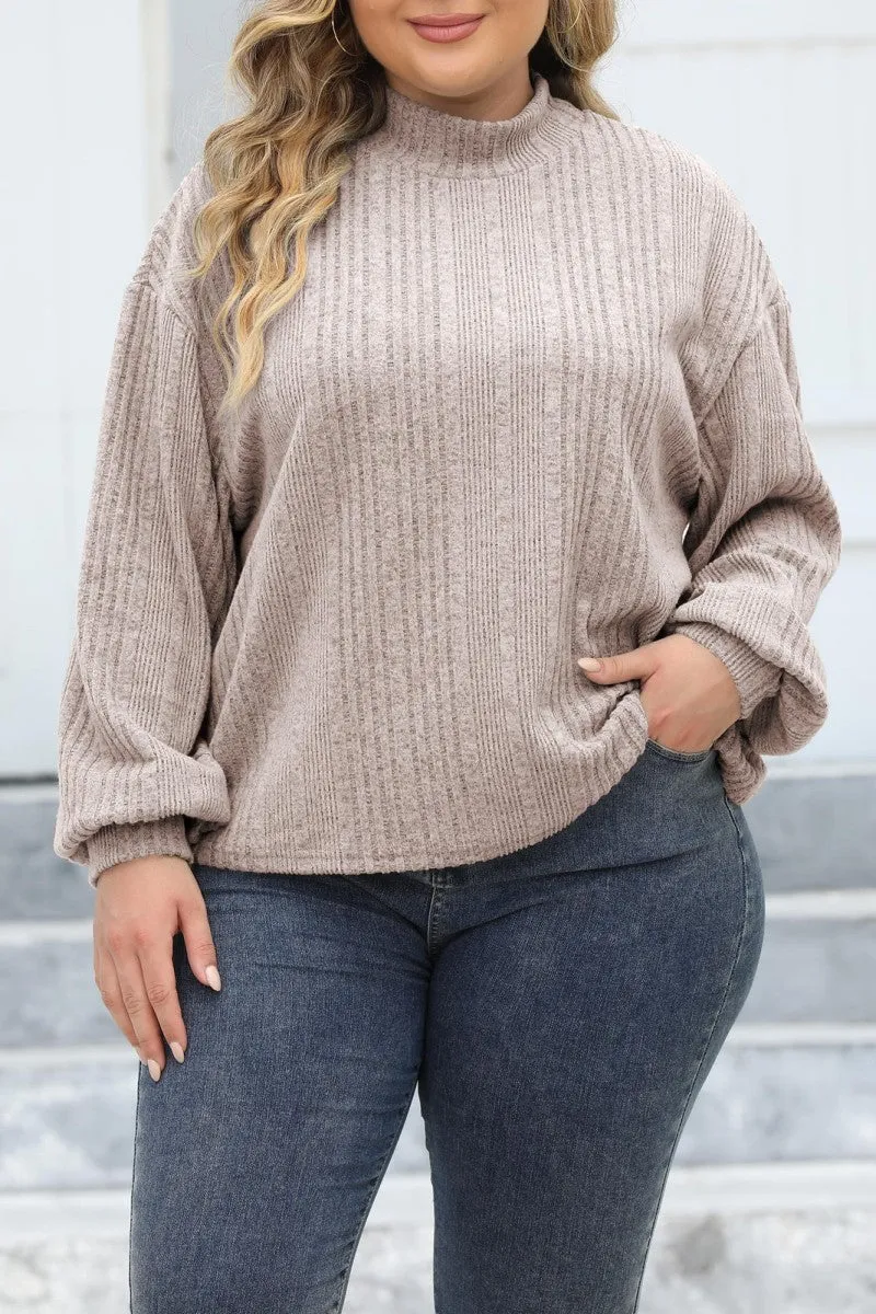 hulianfu Casual Solid Basic Turtleneck Plus Size Tops
