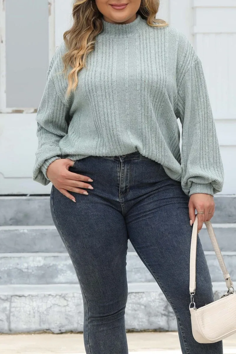 hulianfu Casual Solid Basic Turtleneck Plus Size Tops