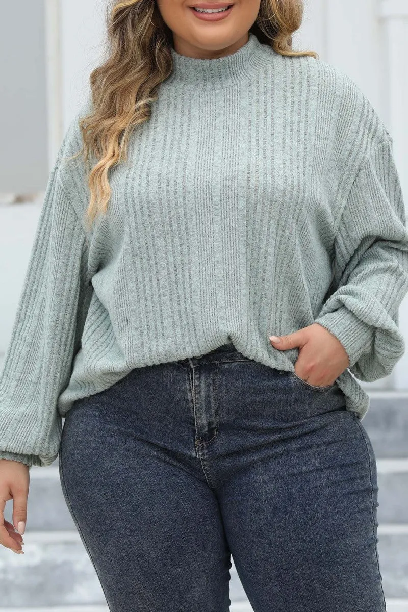 hulianfu Casual Solid Basic Turtleneck Plus Size Tops