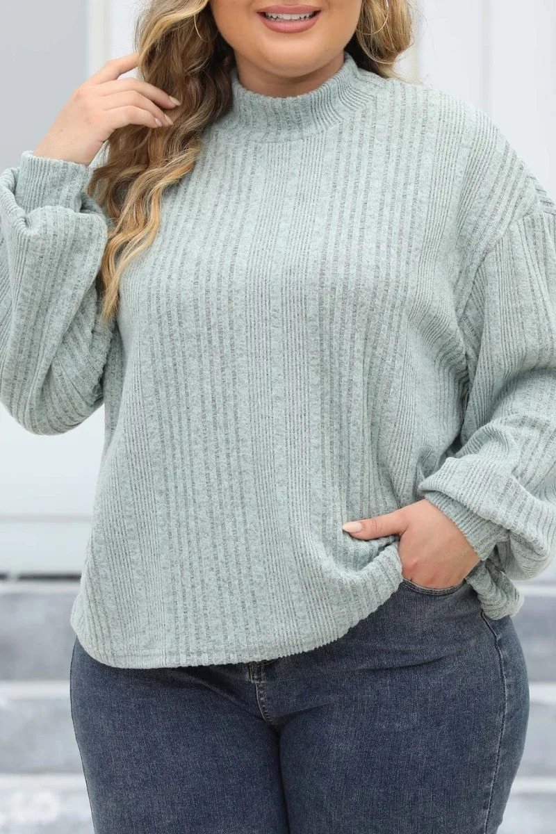 hulianfu Casual Solid Basic Turtleneck Plus Size Tops