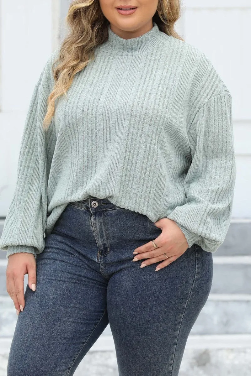 hulianfu Casual Solid Basic Turtleneck Plus Size Tops