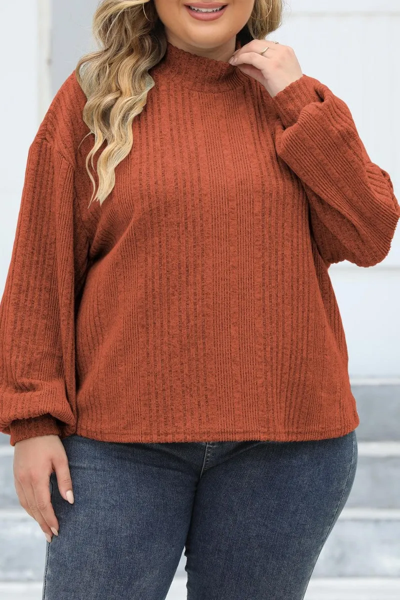 hulianfu Casual Solid Basic Turtleneck Plus Size Tops