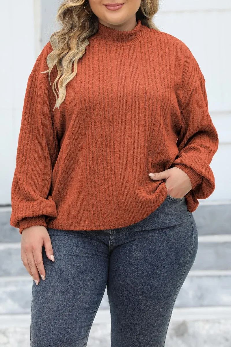 hulianfu Casual Solid Basic Turtleneck Plus Size Tops