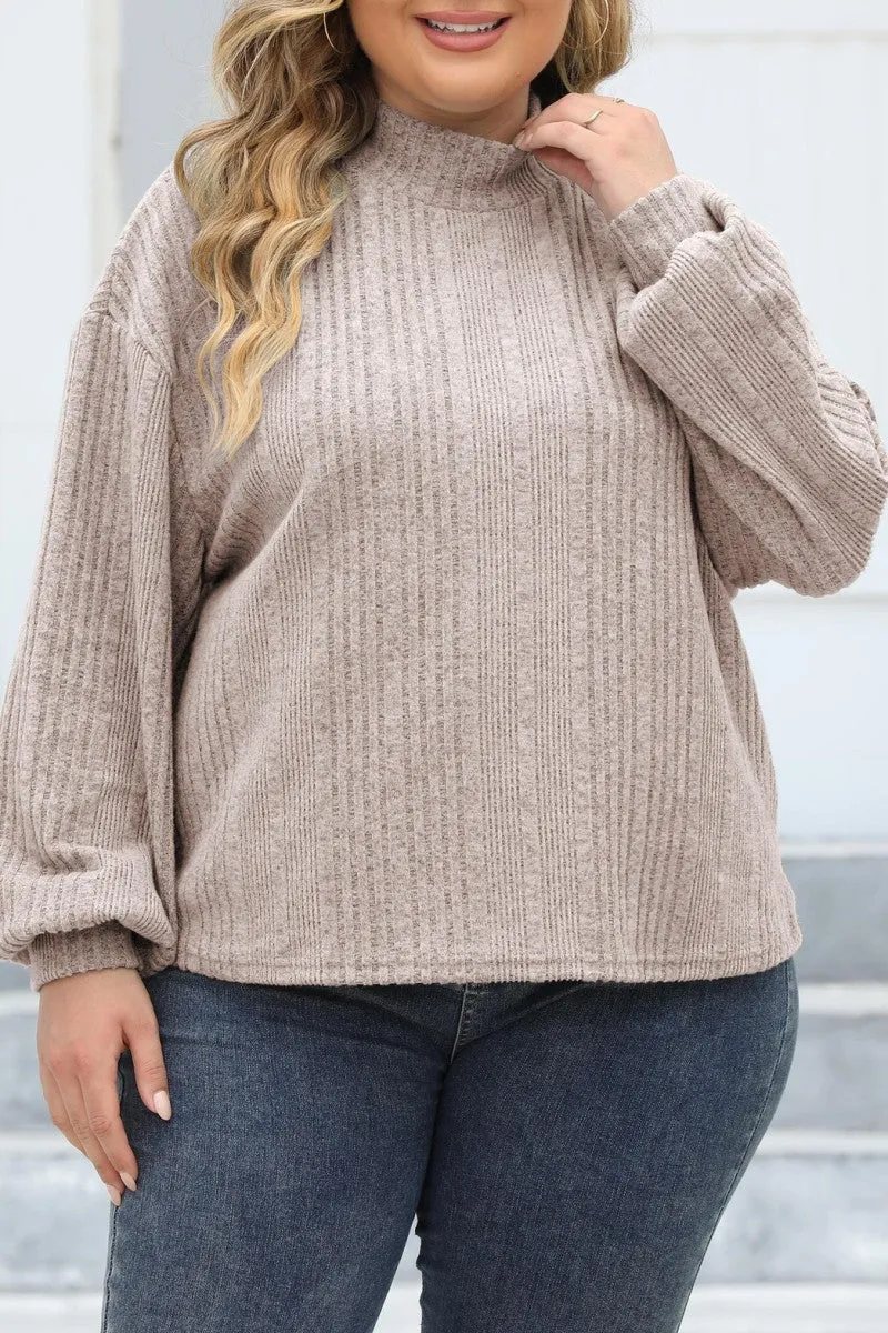 hulianfu Casual Solid Basic Turtleneck Plus Size Tops
