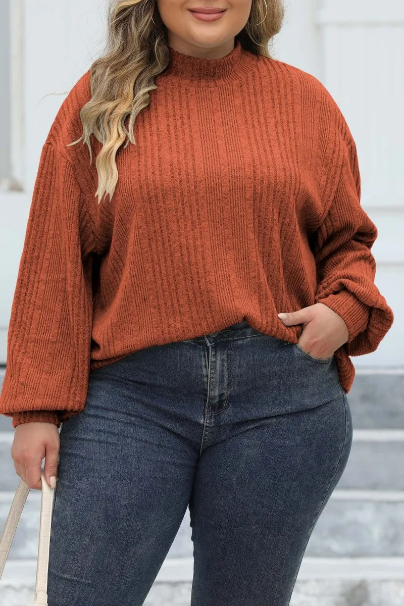 hulianfu Casual Solid Basic Turtleneck Plus Size Tops